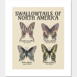 Swallowtails of North America Collection Posters and Art